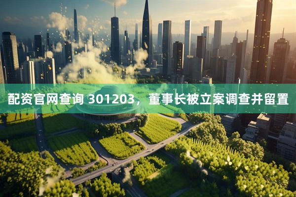 配资官网查询 301203，董事长被立案调查并留置