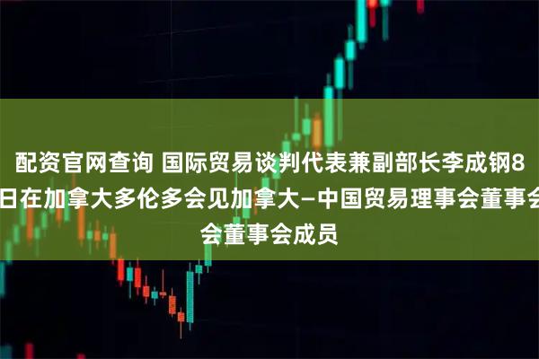配资官网查询 国际贸易谈判代表兼副部长李成钢8月25日在加拿大多伦多会见加拿大—中国贸易理事会董事会成员