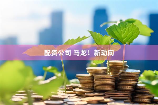 配资公司 马龙！新动向