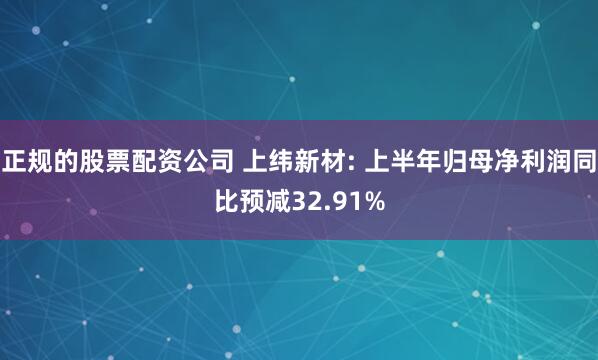 正规的股票配资公司 上纬新材: 上半年归母净利润同比预减32.91%