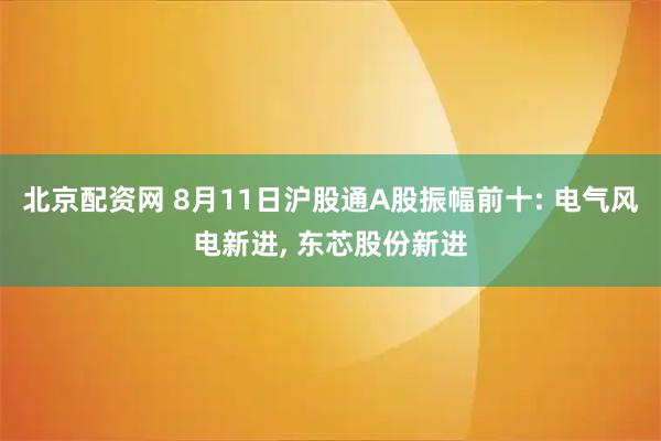 北京配资网 8月11日沪股通A股振幅前十: 电气风电新进, 东芯股份新进