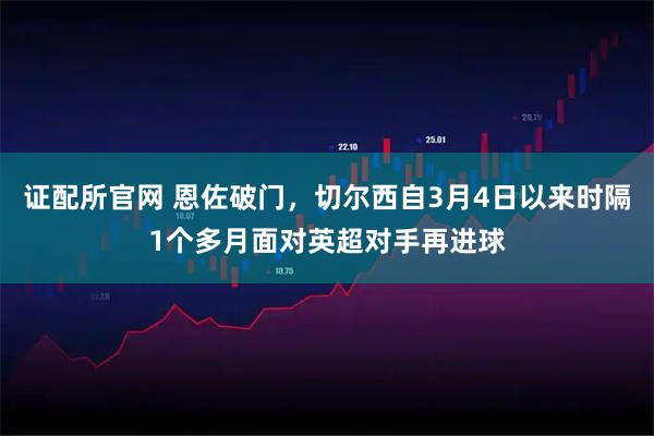 证配所官网 恩佐破门，切尔西自3月4日以来时隔1个多月面对英超对手再进球